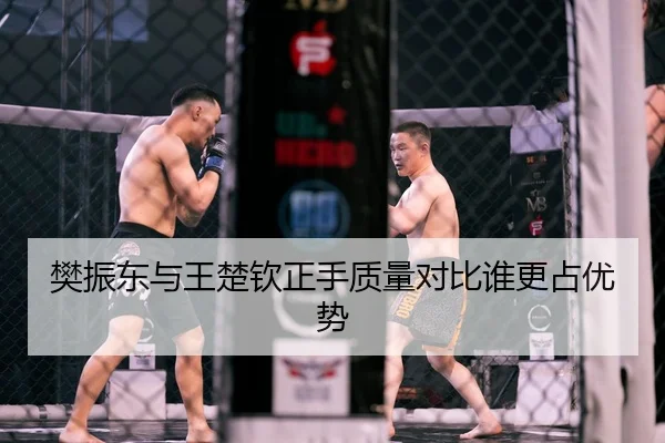 樊振东与王楚钦正手质量对比谁更占优势